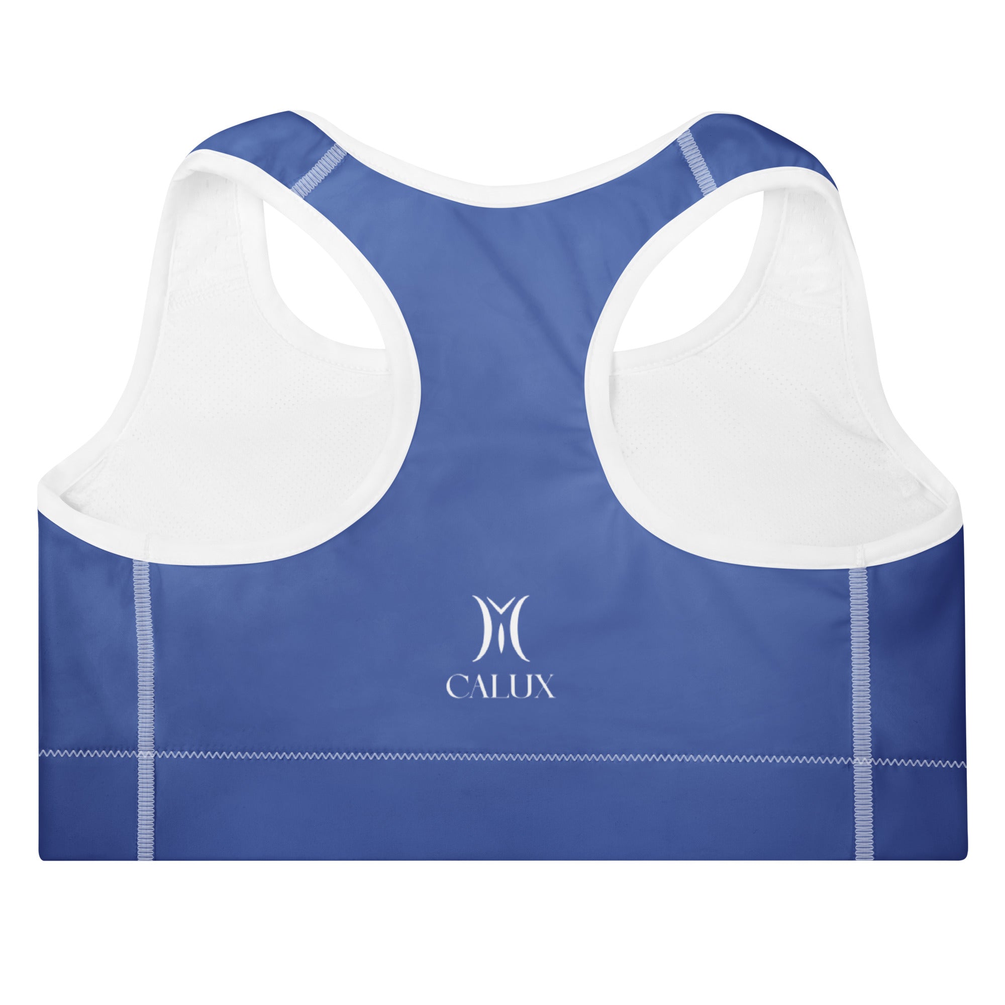 Serene Sports Bra Periwinkle