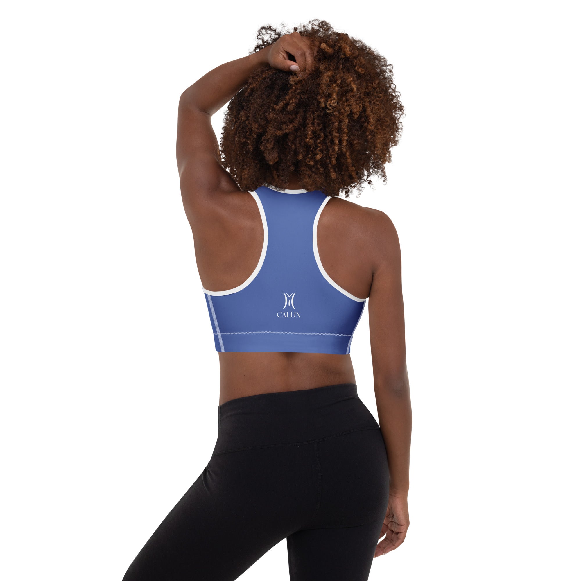 Serene Sports Bra Periwinkle