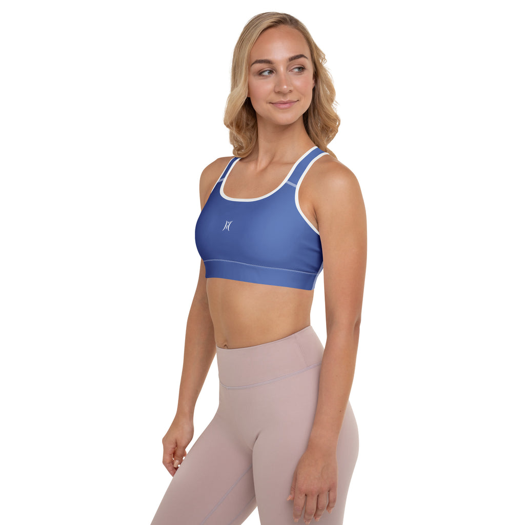 Serene Sports Bra Periwinkle